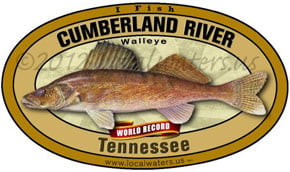 Cumberland River Tennessee Walleye Decal Product