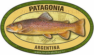 Patagonia Argentina Flyfishing brown trout