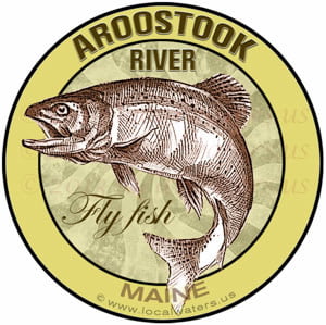Aroostook_River_Maine_Flyfish300_pix