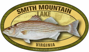Smith_Mountain_Lake_Virginia_Stripe300_pix