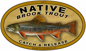 Native Brook Trout Decal catch & release fishing sticker