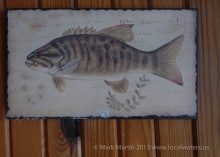 cedar hill restaurant localwaters dale hollow lake walls kind fish paintings place