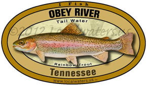 Obey River Rainbow Trout