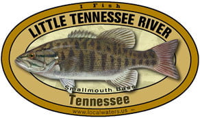 Little Tennessee River Smallmouth Bass