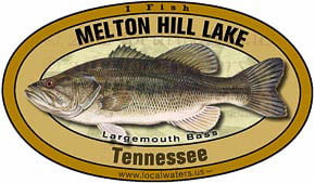 Melton Hill Largemouth Bass