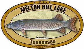 Melton Hill Lake muskie Muskellunge Fishing