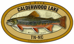 Calderwood Lake Tennessee BrookTrout Sticker decal 5x3