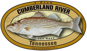 Cumberland River Tennessee Kentucky Striped Bass Sticker Decal 5x3