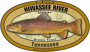 Hiwassee River Tennessee TN Brown Trout Sticker 5x3