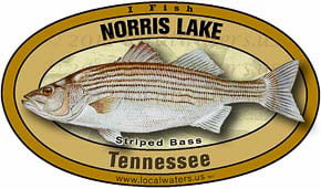 Norris Lake Tennessee TN Striped Bass Sticker Decal 5x3