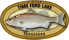 Tims Ford Lake Striped Bass