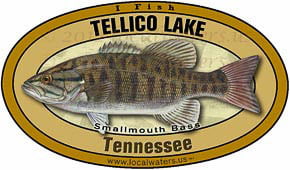 Tellico Lake Smallmouth Bass