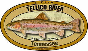 Tellico River Tennessee TN Rainbow Trout Sticker Decal