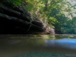 Buffalo River Float Trip at mystery creek with fish stacked up under undercut bank