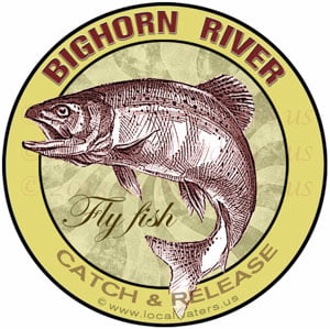 Bighorn River Fly Fish Catch and Release Sticker Design