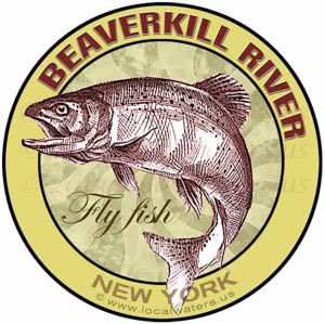 Beaverkill River New York