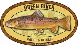 Green River Fly Fishing Sticker Brown Trout