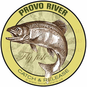 Provo River Fly Fish Utah catch & release