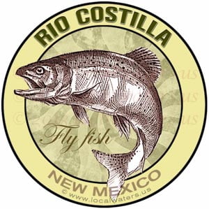 Rio Costilla New Mexico Fly Fish