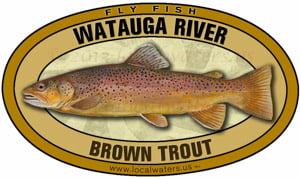 Watauga River Sticker Fly Fish