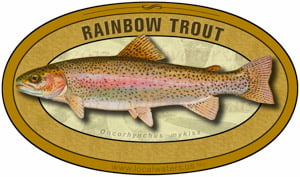 Trout Trees Decal Sticker, Fly Fishing Decal, Fishing Decal,fly Fishing,  Brook Trout Tee, Rainbow Trout, Salmon, Fly Fishing Sticker -  Canada