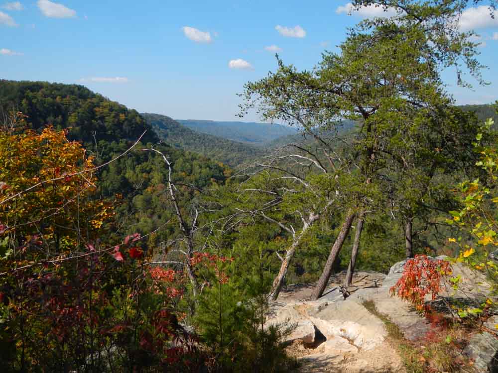 Big Spring and Caney Fork River