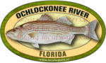 Ochlockonee_River_Sticker_Striped_Bass300_pix