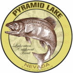 Pyramid Lake Nevada Lahontan cutthroat trout