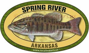Spring River Arkansas smallmouth bass