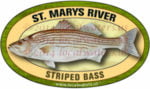 St. Marys River Sticker Striped Bass Sticker