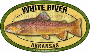 White River Brown Trout Fishing