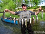 A nice stringer of trout, taken at the Happy Hollow Access Area on the Caney Fork River