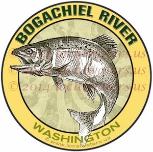 Bogachiel River Olympic Peninsula Washington