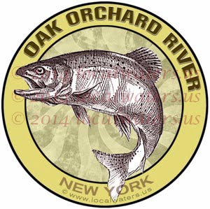 Oak Orchard River Creek New York