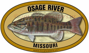 Osage River Missouri Smallmouth Bass Sticker Decal
