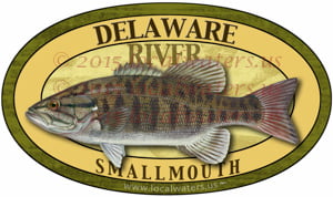 Delaware River Smallmouth