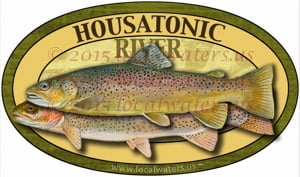 Housatonic River Brown Rainbow Trout