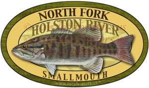 North Fork Holston River Smallmouth