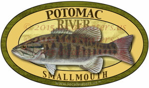 Potomac River Smallmouth Bass Fishing Sticker Decal