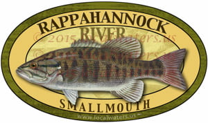 Rappahannock River Smallmouth Bass