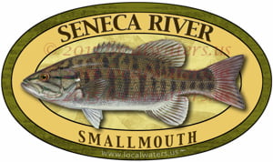 Seneca River Smallmouth Bass