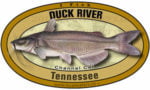 tn_duck_river_channel_catfish_300opt