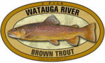 tn_watauga_river_brown_trout_300opt