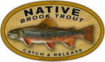 Native Brook Trout Decal catch & release fishing sticker