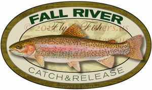 Fall River Rainbow Trout Fly Fish Sticker California