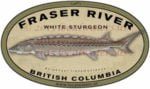 Fraser River White Sturgeon Fishing Decal British Columbia Sticker Canada