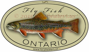 Ontario Fly Fishing Sticker Brook Trout Decal