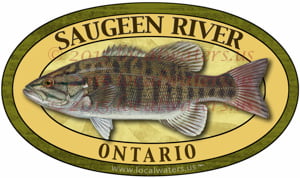 Saugeen River Decal Smallmouth Bass Sticker Fishing Ontario Canada