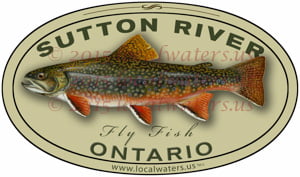 Sutton River Sticker Brook Trout Decal Fly Fishing Ontario Canada