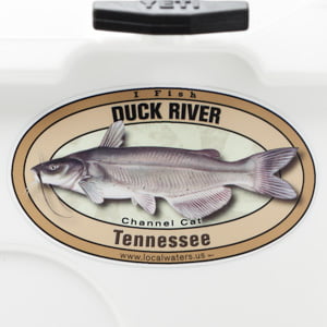 Duck River Channel Catfish sticker Tennessee Decal fishing logo